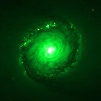 Cosmic Egg Realignment
