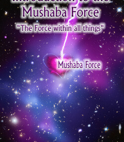 Introduction to the Mushaba Force